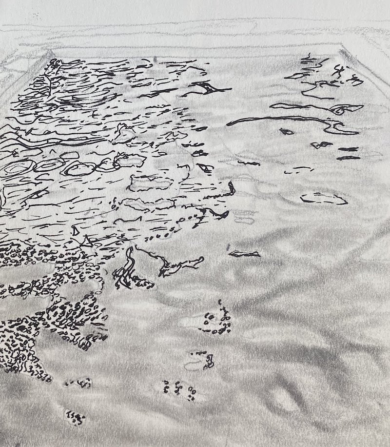 The tree in the pool