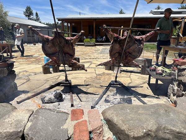 coals under the lamb