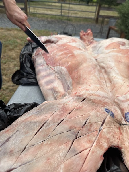 Securing the lamb to the cross