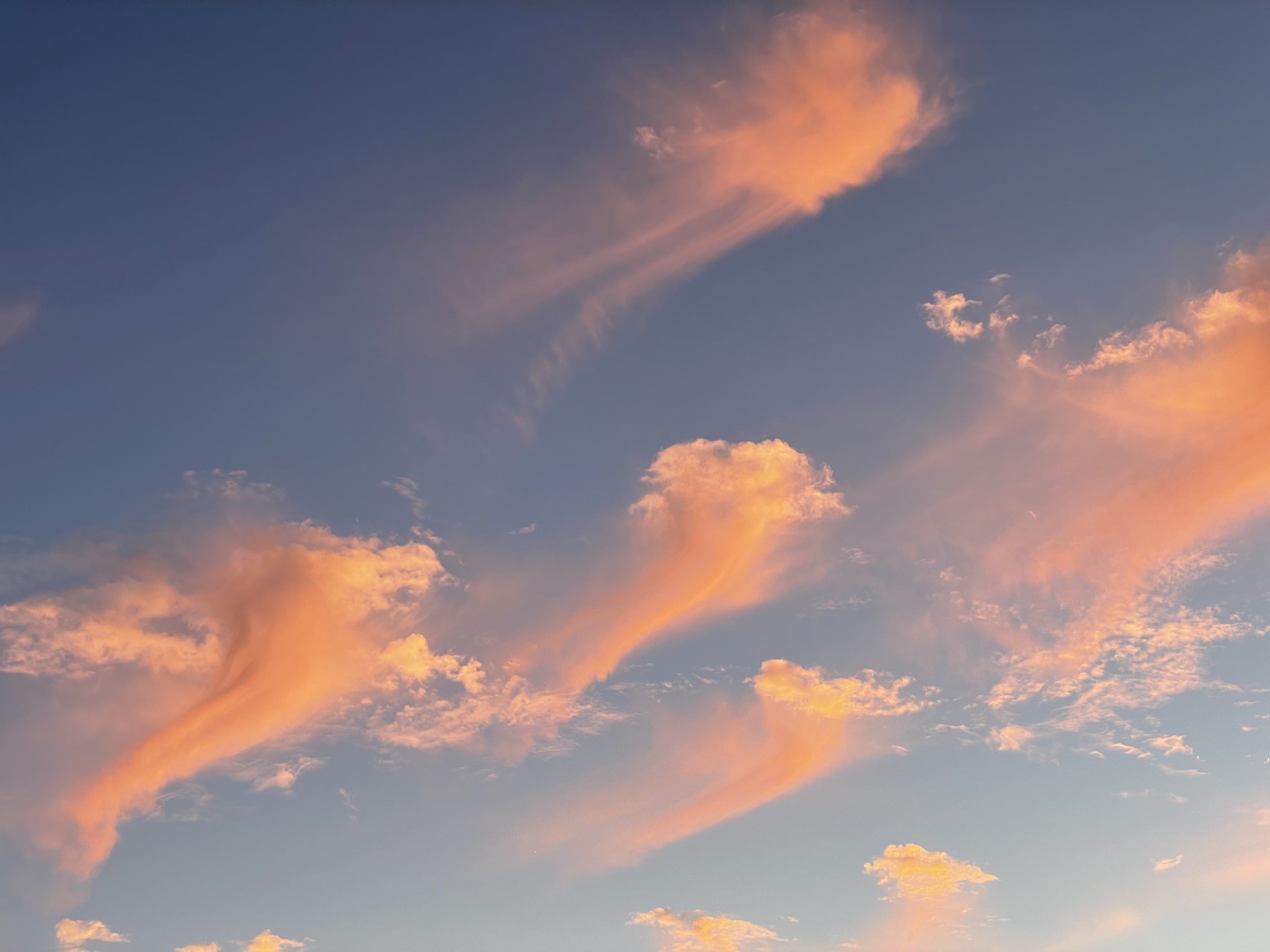 Jellyfish clouds over Sea Ranch, CA